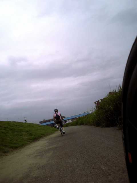 a0006605_2185566.gif