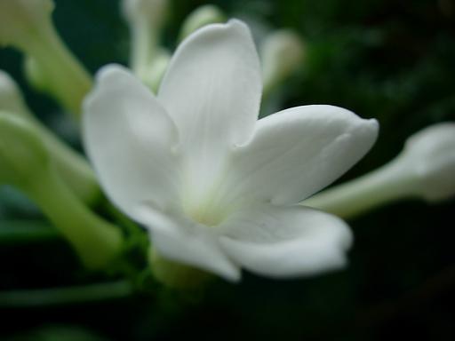 a0030205_21163815.jpg