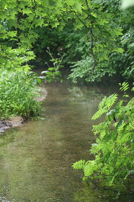 f0041606_18555439.jpg