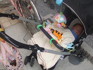 e0047610_10553048.jpg