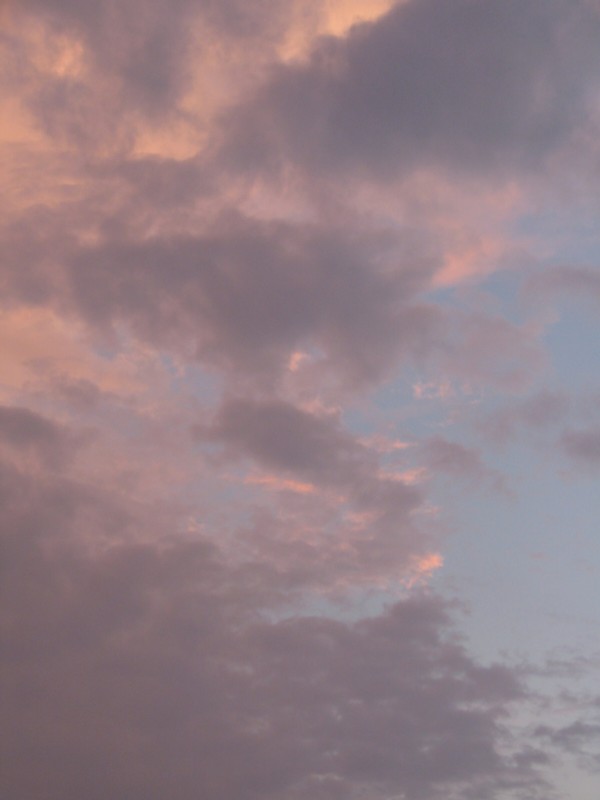 b0118511_172654.jpg