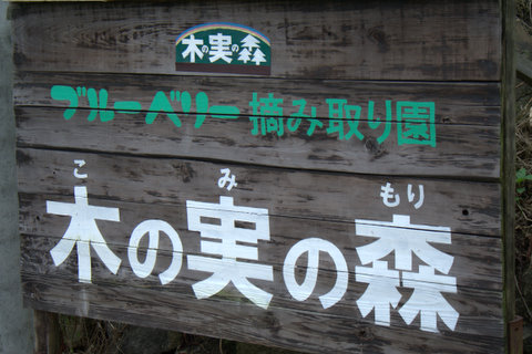 a0090313_16552.jpg