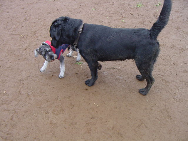 e0109622_2035040.jpg