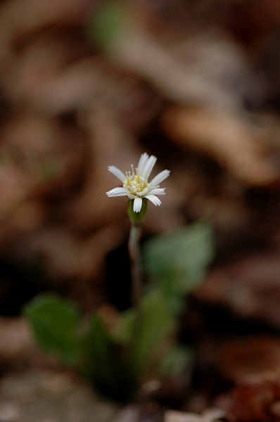 c0027027_23344928.jpg