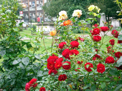 d0036427_1337248.jpg
