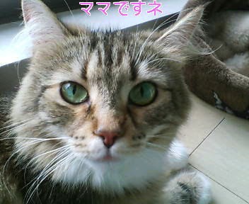 a0090729_21493866.jpg