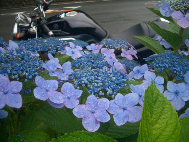 c0078032_9145822.jpg