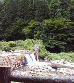 c0118536_22155746.jpg