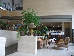 d0031853_832528.jpg