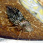 d0029958_17482348.jpg