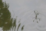 e0041168_931487.jpg