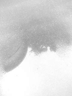 f0100480_13151510.jpg