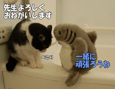 b0041182_12344923.jpg