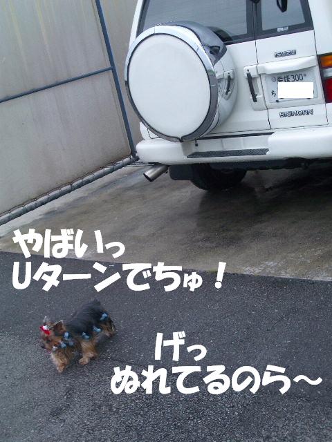 c0031582_1933322.jpg