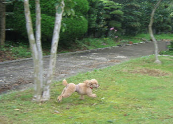 f0118293_0132525.jpg