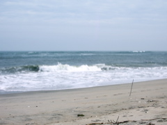 a0061594_2374823.jpg