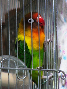 c0118496_9354825.jpg