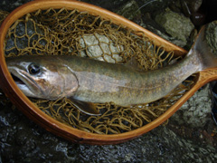 d0042500_10542730.jpg
