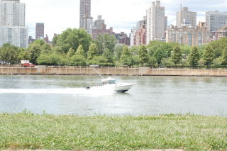 e0039002_13522438.jpg
