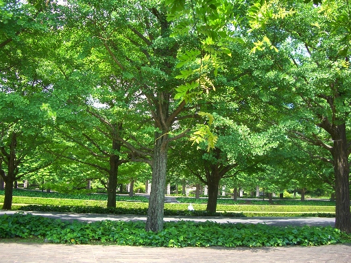 c0110906_1917743.jpg