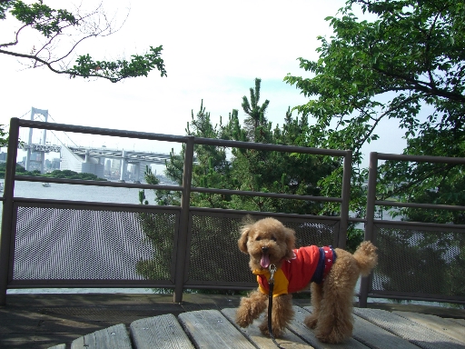 c0110906_22313134.jpg