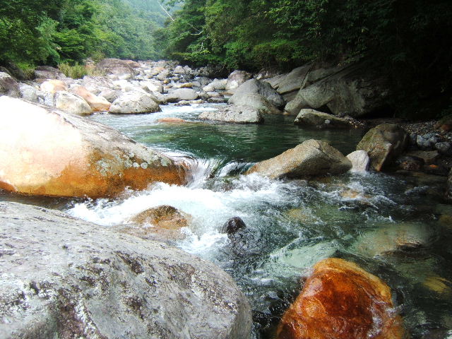 f0079411_21294738.jpg