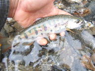 f0079411_21372599.jpg