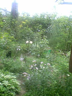 c0118013_23235238.jpg