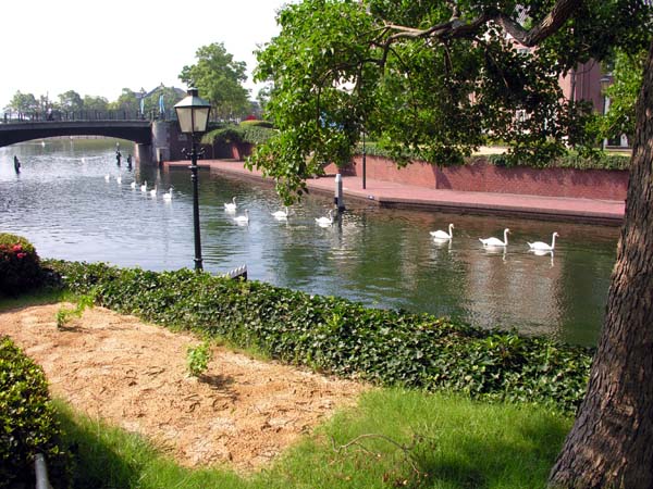 c0059521_18375048.jpg