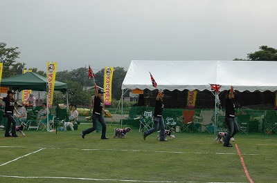 d0023323_1165918.jpg