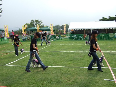 d0023323_1185189.jpg