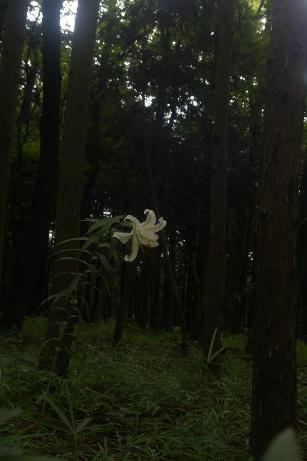 c0107924_2191481.jpg