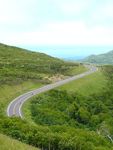 d0023725_1132144.jpg