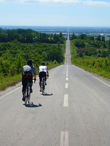 d0023725_114218.jpg