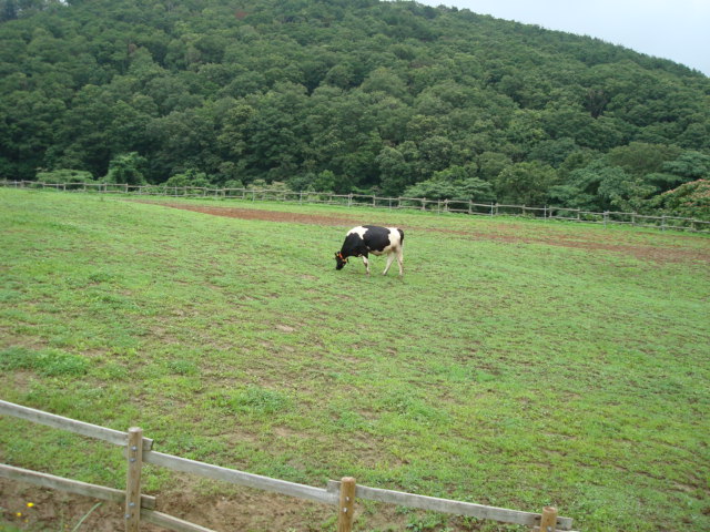 f0141130_13433854.jpg