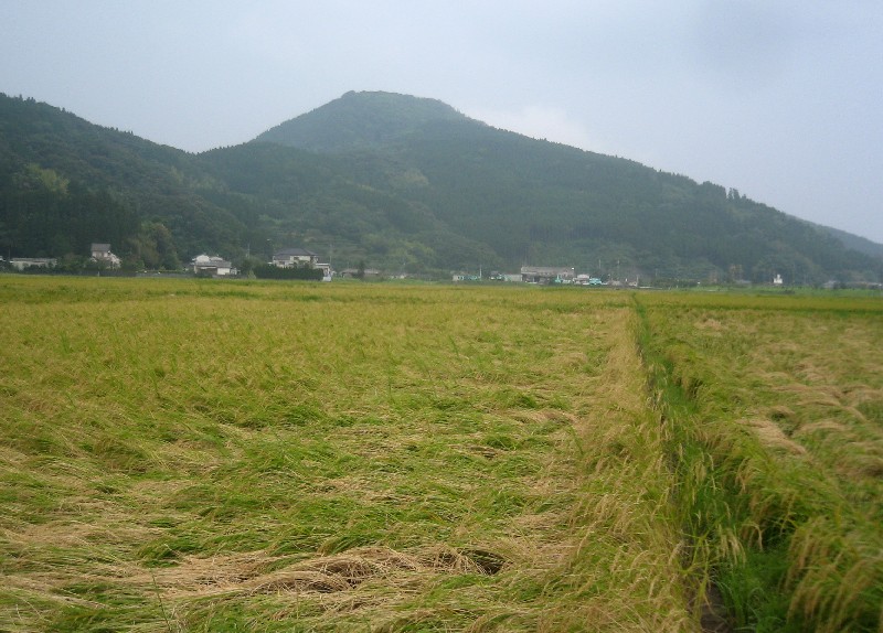 f0042737_12185231.jpg