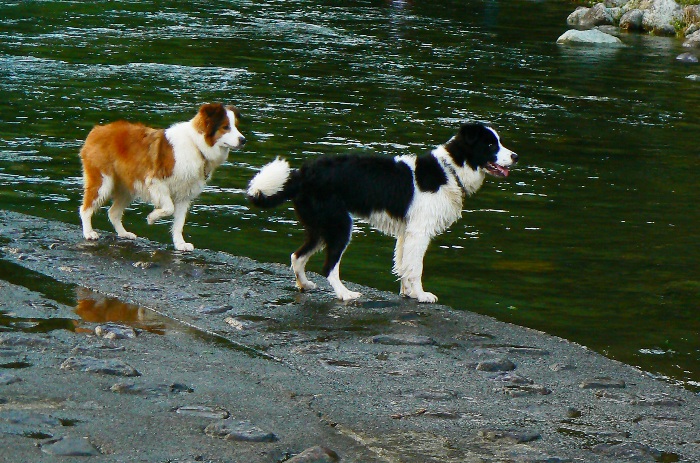 d0077740_2236473.jpg