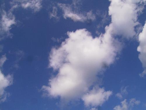 c0072843_20213330.jpg
