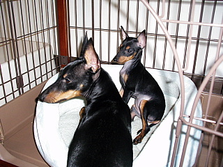 c0123149_1428557.jpg