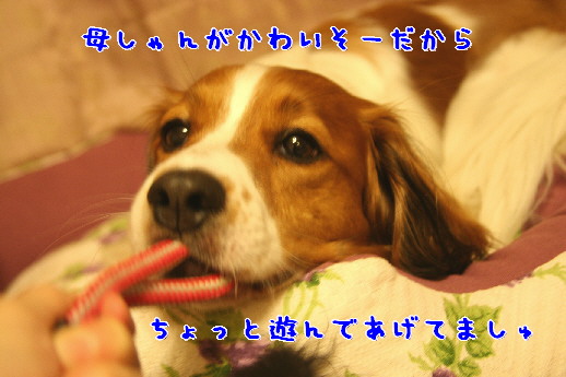 d0013149_159197.jpg