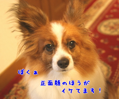 d0013149_2102488.jpg