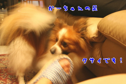 d0013149_224395.jpg