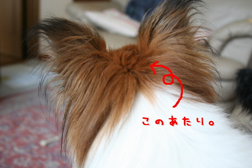 d0013149_283297.jpg