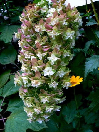 d0091754_0542126.jpg