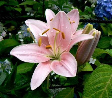 d0091754_3077.jpg