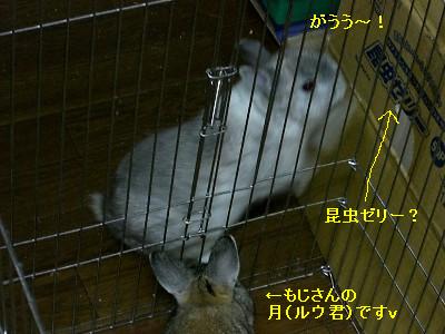 f0104057_2041349.jpg