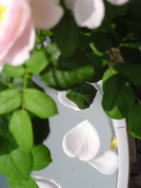 f0074659_22302047.jpg