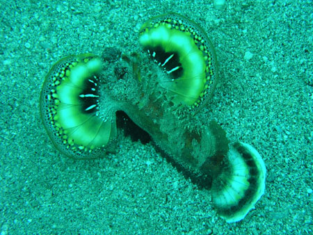 b0062363_23135576.jpg