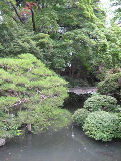d0056563_011253.jpg