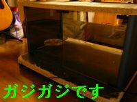 a0100564_12141558.jpg